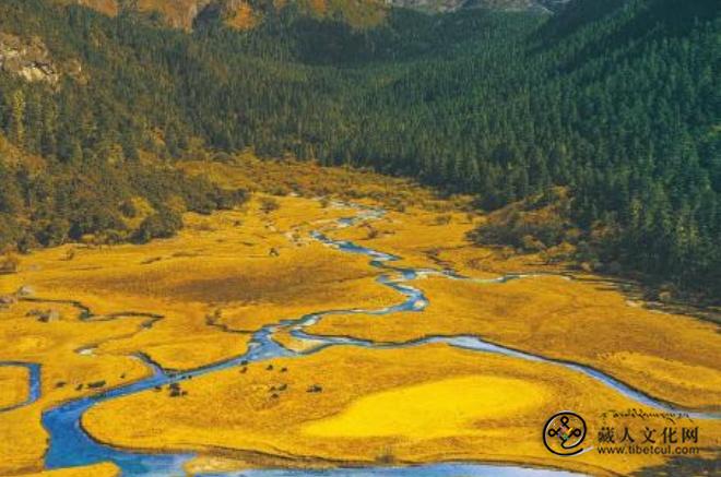 四川九龙：“飞驰人生” 从银幕火到现实2.jpg