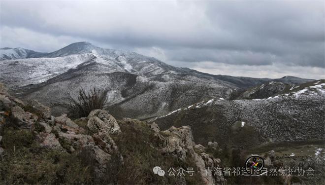 青海摄影师荣获国际顶级摄影大赛高度评价奖.jpg