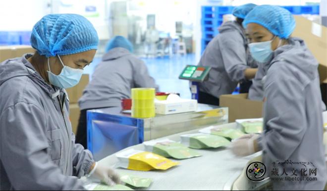 1770012288613001.jpg 尕旦木草:用青稞改写甘南农牧民的命运3.jpg