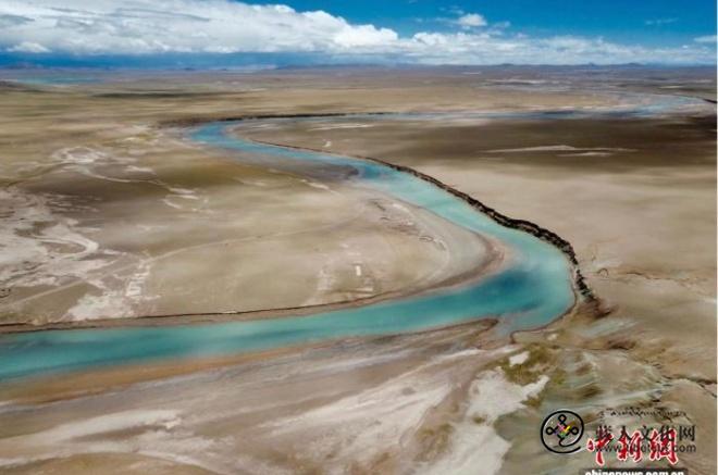 青藏高原发现鲤科新化石 揭示1500万年前鱼类多样性高于现代1.jpg