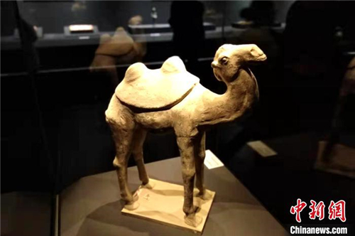 “唐蕃古道——七省区精品文物联展”西安开展5.jpg