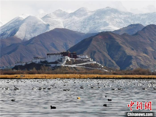 西藏自治区统筹推进全区自然保护地整合优化