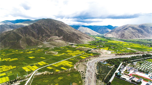 西藏大力推进湿地保护与恢复建设管理工作