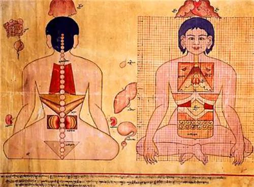 藏医人体解剖学的科学思想试析