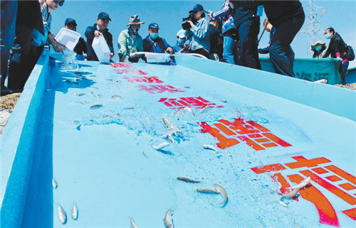 “全国放鱼日”青海省举办增殖放流系列活动