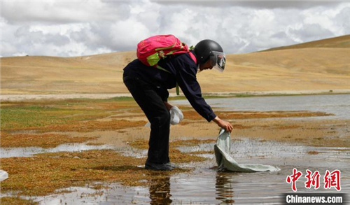 保护湿地 西藏“圣湖”周边村民吃上“生态旅游饭”