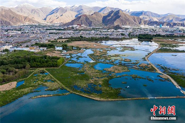 藏学专家：各民族的生存发展与青藏高原生态系统有密切联系