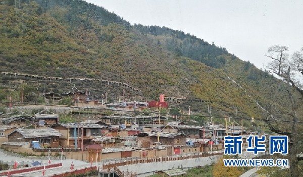 甘肃迭部：“红绿融合”绘乡村旅游新画卷