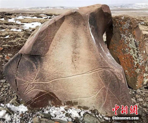 青海雅砻江源区发现海拔5000米上古岩画