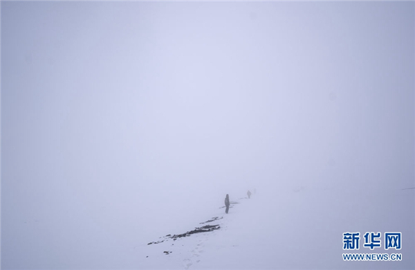 那座山 那群人——走近祁连山巡护者12.jpg