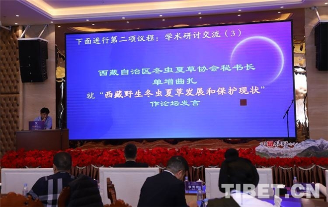 首届青藏野生冬虫夏草高峰论坛在西藏比如县召开