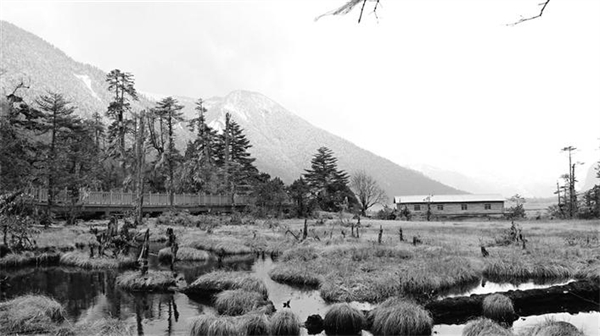  西藏38地入选全国乡村旅游重点村镇名录