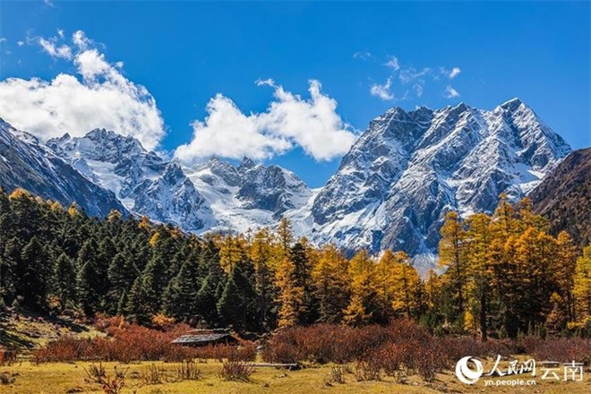 云南白马雪山国家级自然保护区秋景大片上线