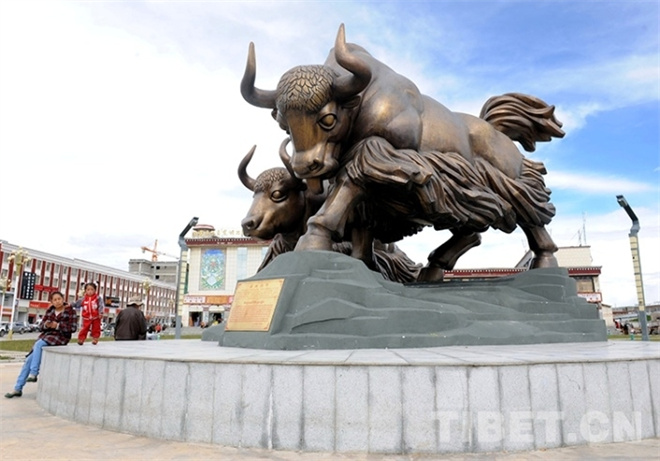 藏北，牦牛文化的传奇