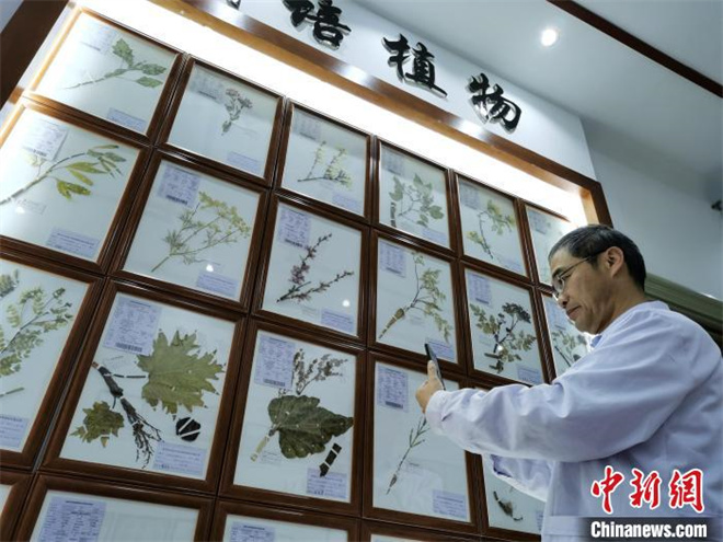 青海首次设立藏医药浴、中医肺病等专科联盟