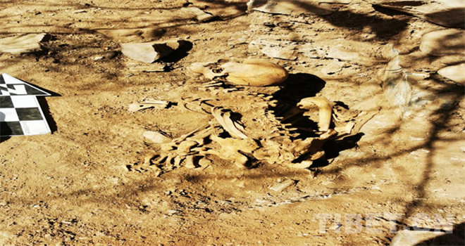 考古新发现：西藏昌都新发现7座暴露墓葬