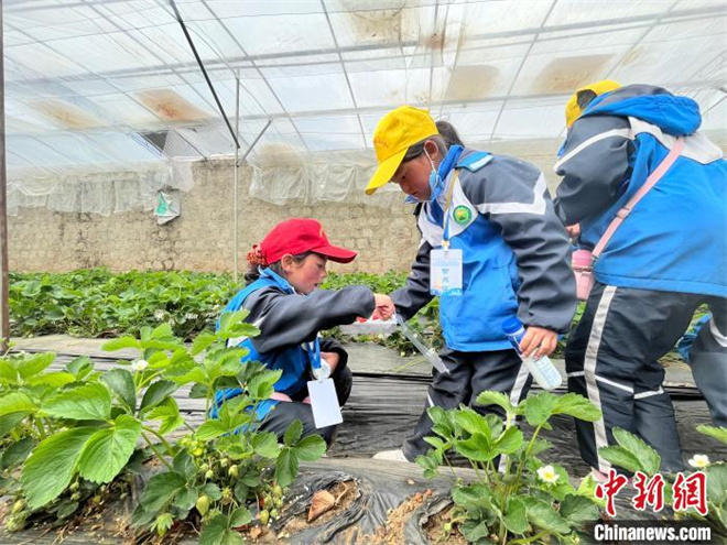 西藏第二届青少年跆拳道素质拓展训练营落幕