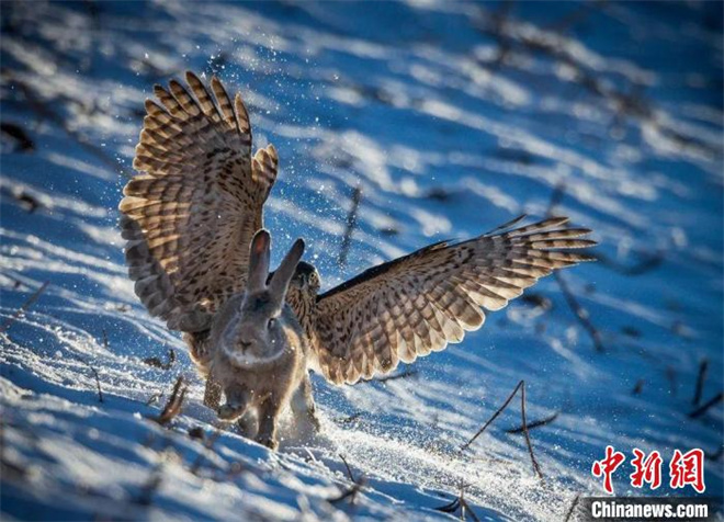 青海2名摄影师成功闯入国际顶级摄影赛事