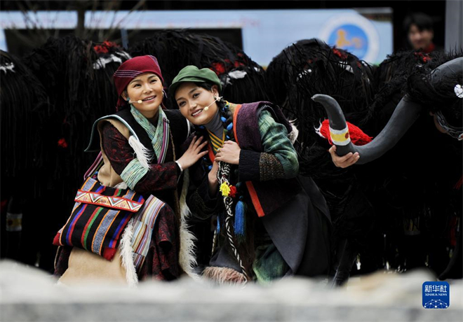 歌舞剧《天边格桑花》在西藏隆子县玉麦乡演出