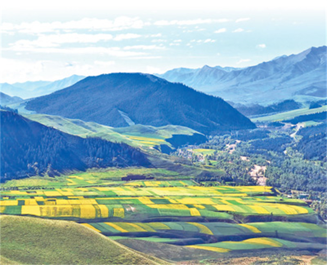 青海： 高标准推动共建青藏高原国家公园群