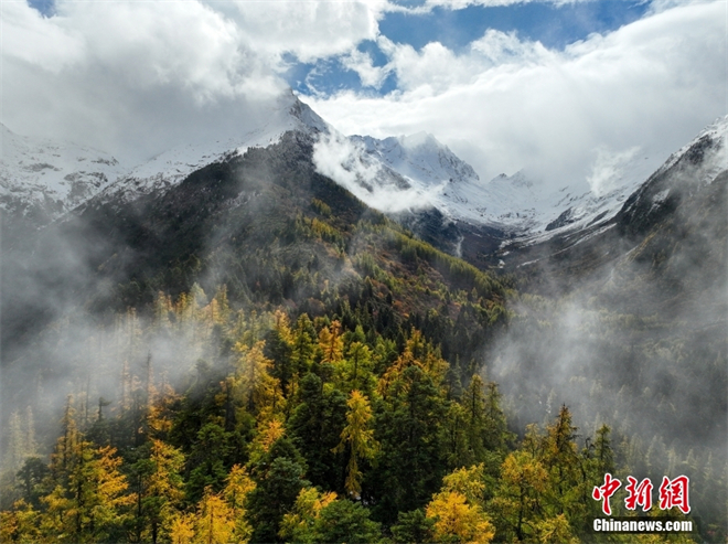 西藏林芝：雪山与层林尽染  秋日风光无限
