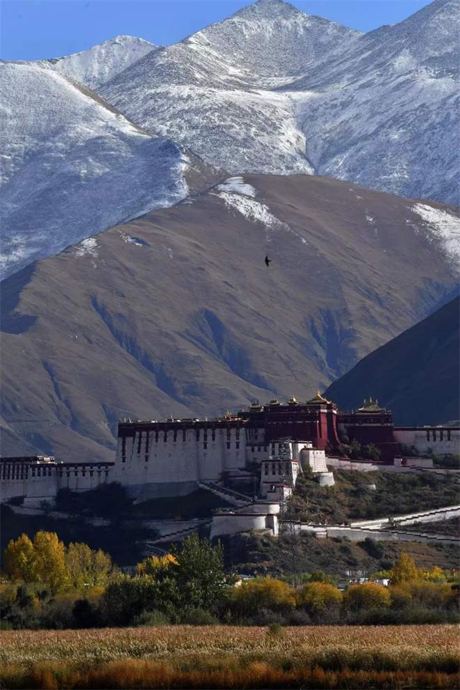 清代西藏告示传播与边疆治理研究