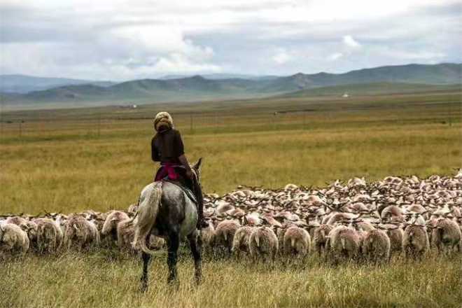 青藏高原生态文化研究——以当代青海多民族文学个案为例