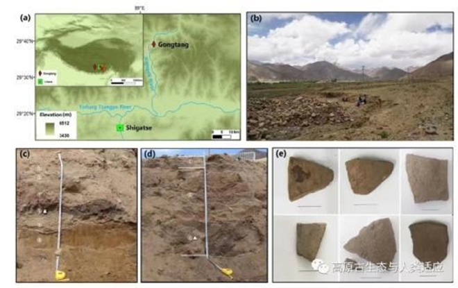 西藏日喀则共塘遗址检测到3000年前的类残留物