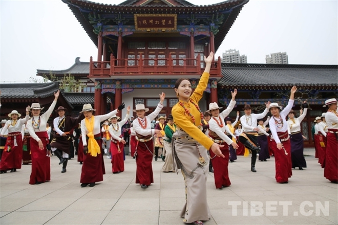 传统藏舞公益推广活动在陕西省西安市举行