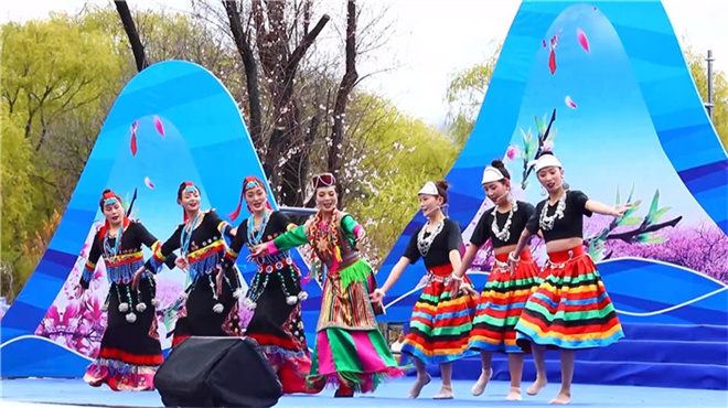 西藏林芝第20届桃花旅游文化节米林分会场开幕