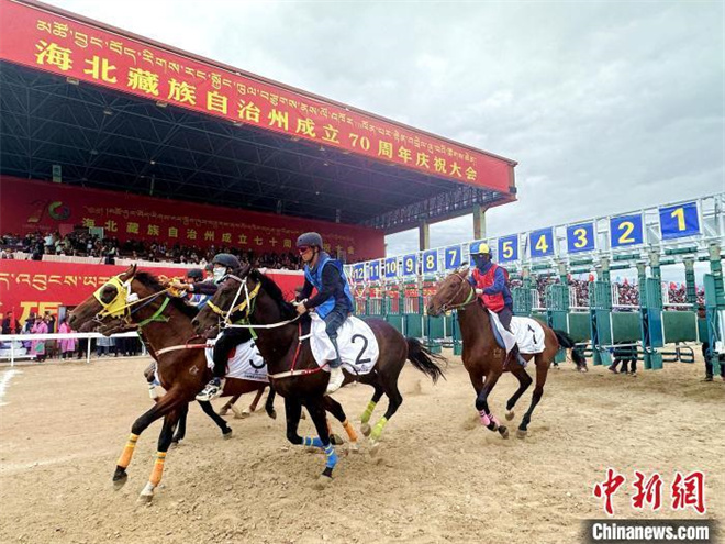 青海湖北岸上演“马背追风” 赛马交流一骑绝尘