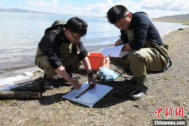 色林错保护区草原生态保护鱼类监测项目启动