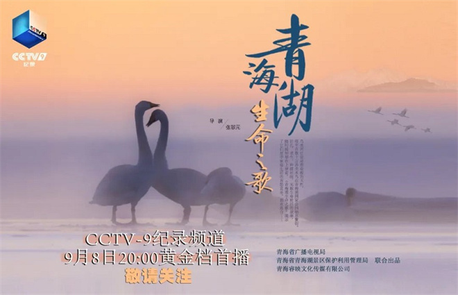 纪录片《青海湖生命之歌》将在cctv9频道播出