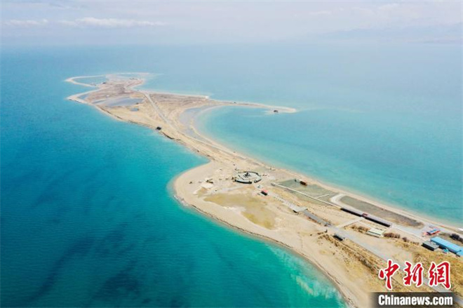 《青海湖野生动植物名录》顺利通过专家评审