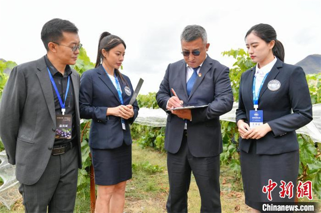 西藏桑日县葡萄种植基地获WRCA世界纪录认证