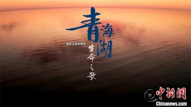 《青海湖生命之歌》入选全国优秀国产纪录片