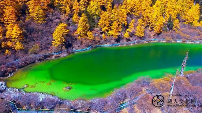 四川稻城：打造“天、地、人”文化旅游新地标