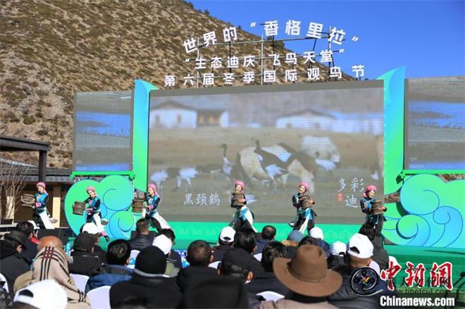 生态促文旅 云南香格里拉第六届观鸟节开幕