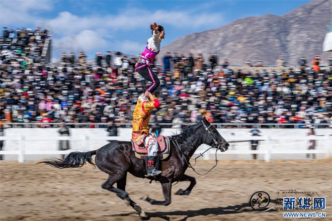 西藏拉萨2024传统马术表演暨赛马活动即将开幕