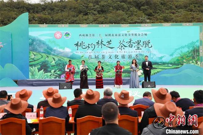 打造“茶旅”名片 西藏墨脱茶文化旅游季开幕