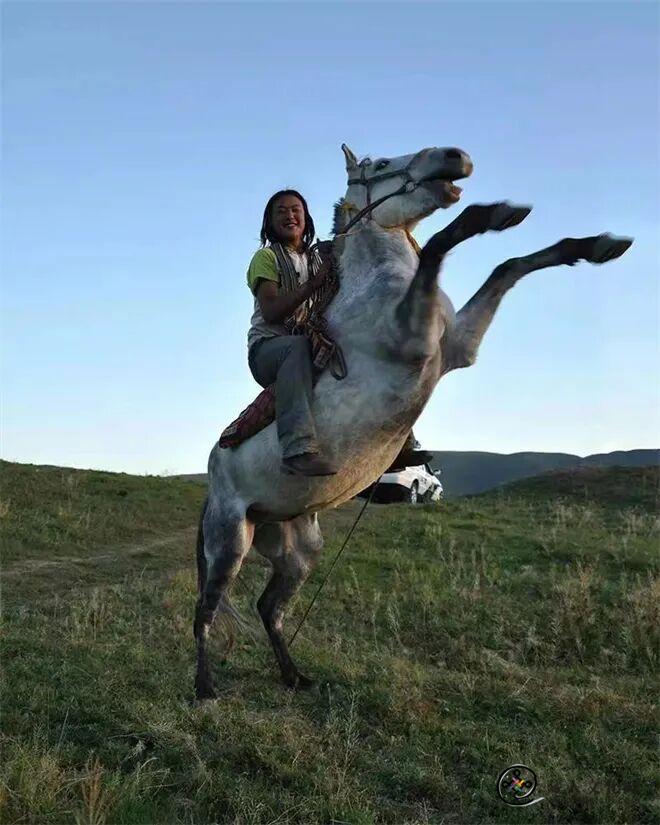 藏族赛马文化的历史渊源、时代内涵与传播路径