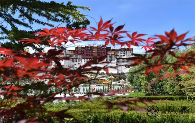 妙因寺碑刻《重修护法殿记》与鲁土司家族兴衰