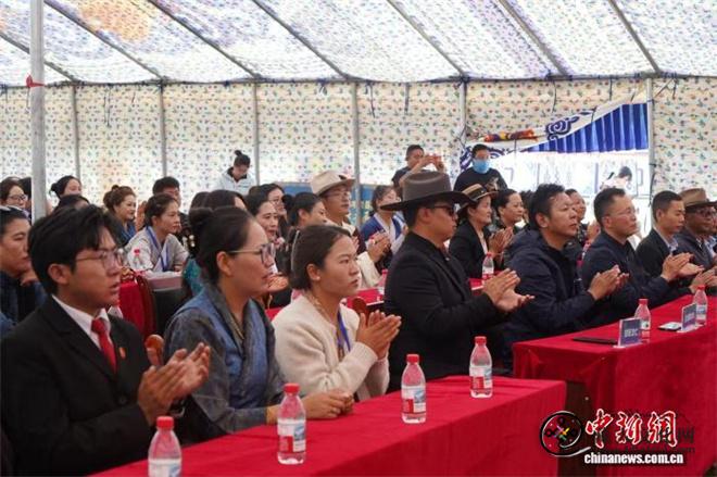 西藏索县产出单根最重野生虫草 斩获吉尼斯世界纪录认证2.jpg