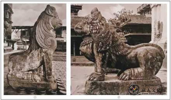 西藏定日县绒辖曲瓦寺翼兽的调查与研究4.jpg