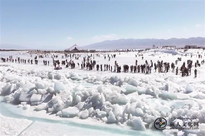 1772085013420271.jpg 青海湖景区成顶流省外游客占比超七成.jpg