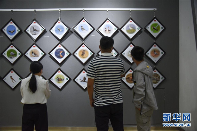 首届祁连山国家公园青海片区生态艺术展开展6.jpg