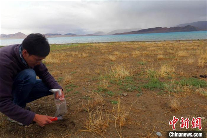 中国二次青藏科考分队完成西藏第三大湖泊考察3.jpg