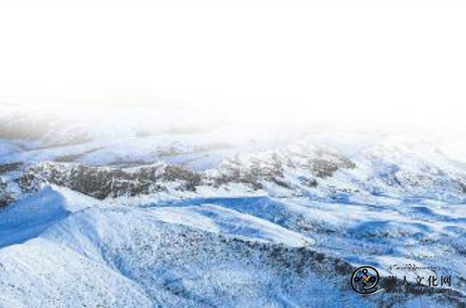 1771989847260823.jpg 四川九龙:“飞驰人生” 从银幕火到现实3.jpg