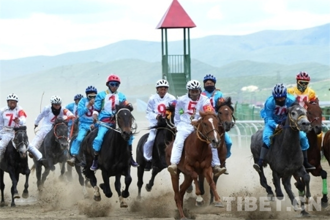 策马扬鞭！红原大草原雅克赛马会上演激情驰骋2.jpg