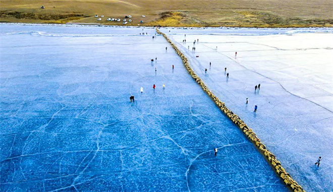 当转场羊群遇上“蓝冰” 雪域高原上演冬季大片1.jpg